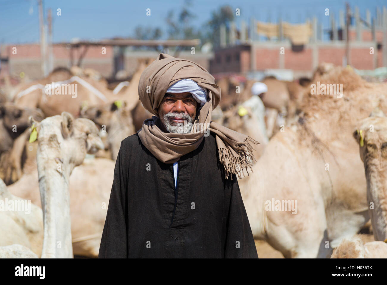 DARAW, EGYPT - FEBRUARY 6, 2016: Portrait of local camel salesman on Camel market. Stock Photo