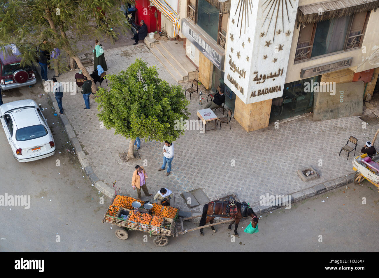 CAIRO, EGYPT - FEBRUARY 2, 2016: Aerial view of street corner with horse cart oranges vendor. Stock Photo