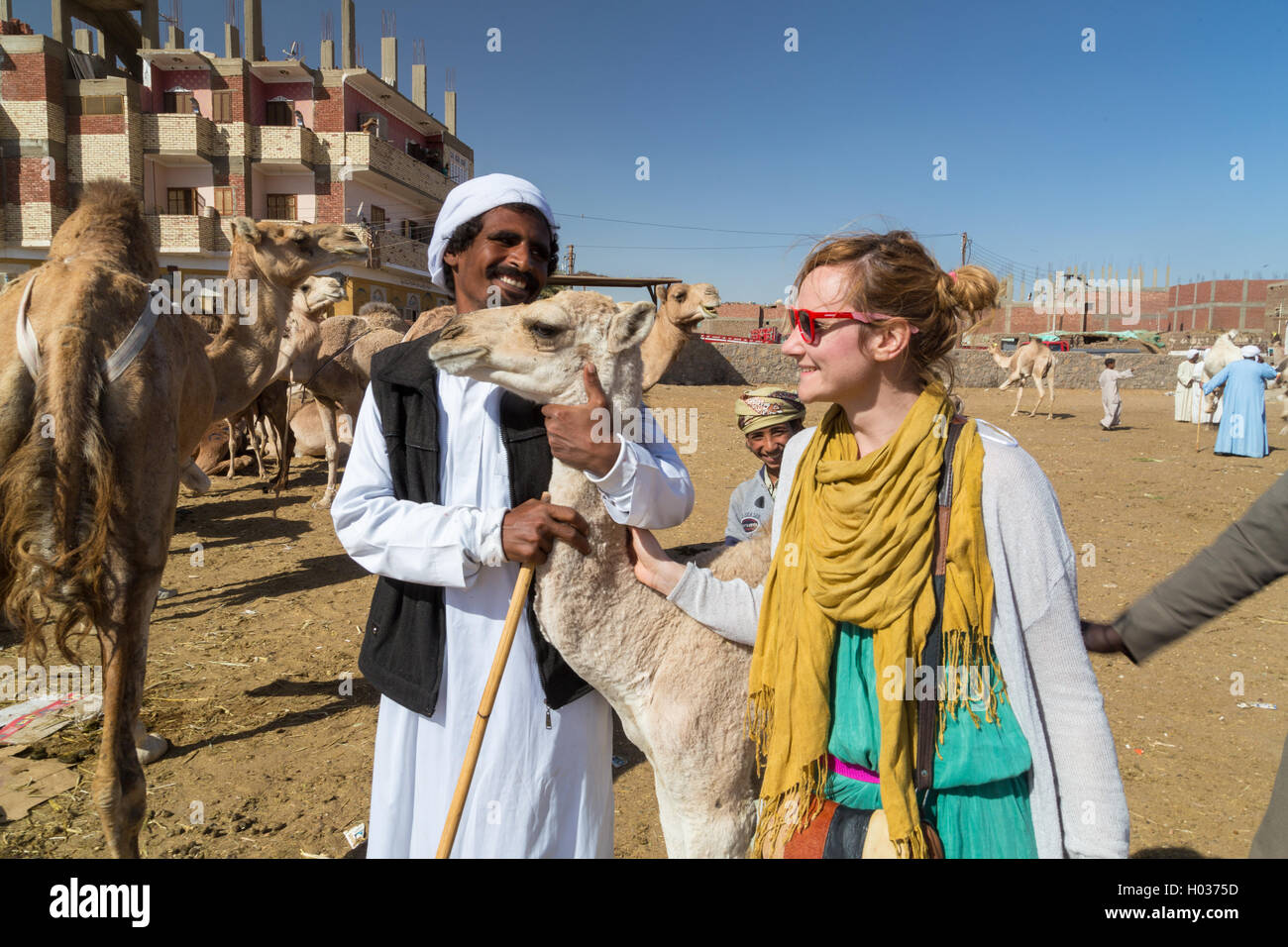 DARAW, EGYPT - FEBRUARY 6, 2016: Tourist and local camel salesmen at camel market. Stock Photo