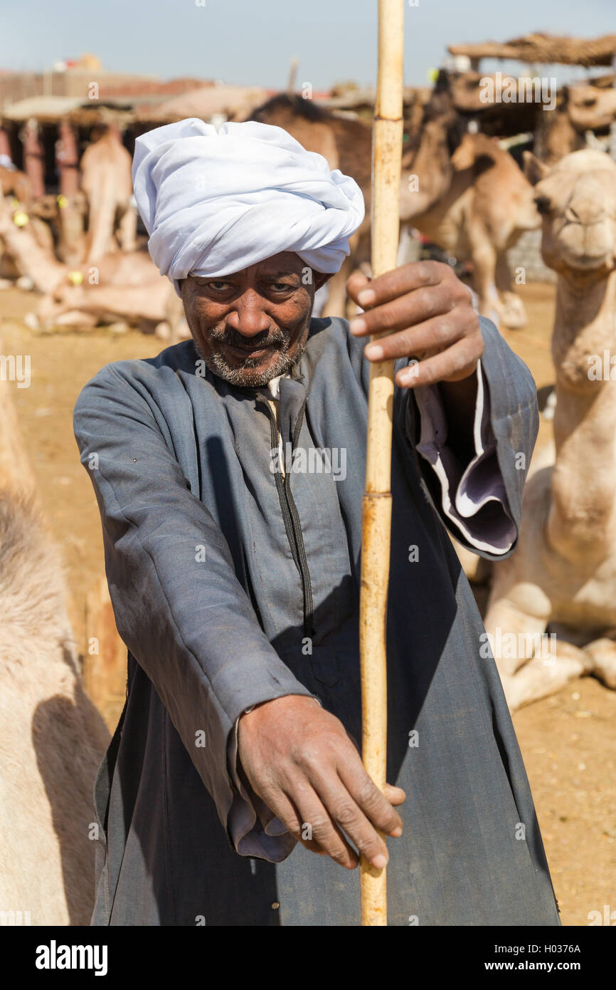 DARAW, EGYPT - FEBRUARY 6, 2016: Portrait of elderly camel salesman with stick at Camel market. Stock Photo