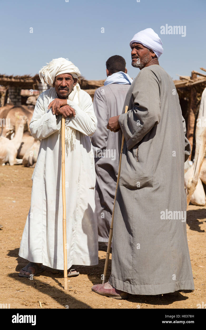 DARAW, EGYPT - FEBRUARY 6, 2016: Portrait of elderly camel salesmen with stick at Camel market. Stock Photo