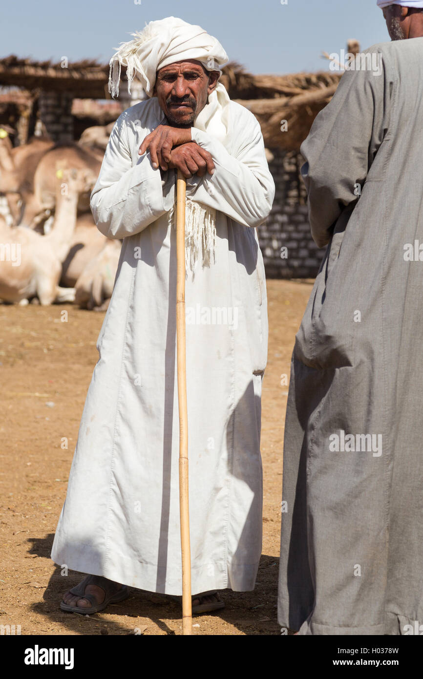 DARAW, EGYPT - FEBRUARY 6, 2016: Portrait of elderly camel salesman with stick at Camel market. Stock Photo