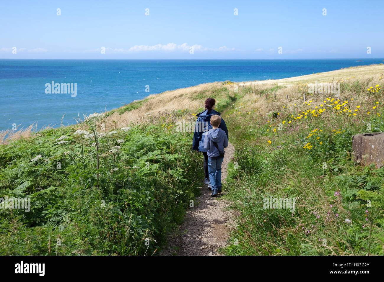 Waking the Coastal Path in Pembrokeshire, Wales, Great Britain Stock Photo