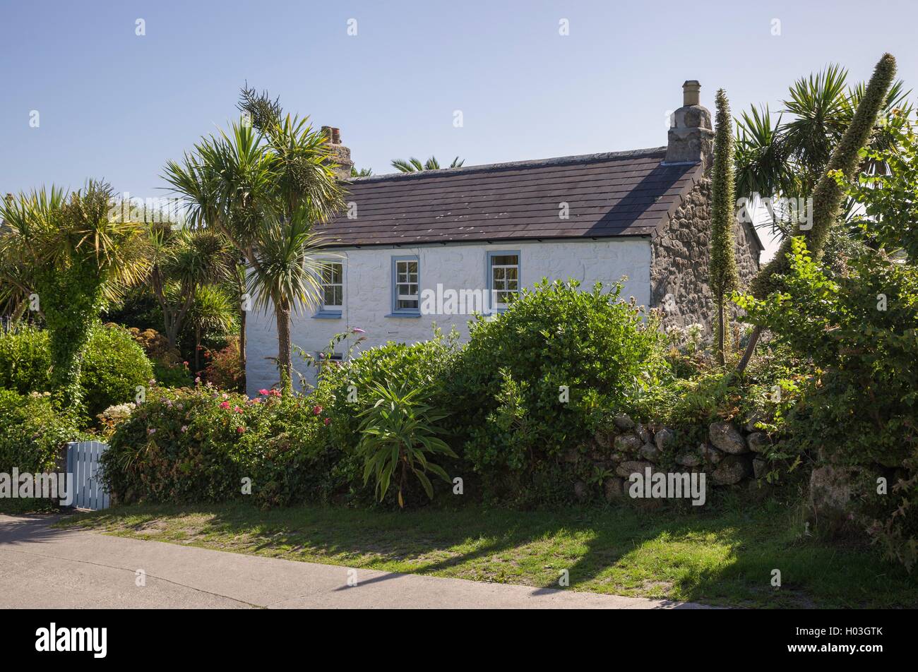 Scillonian cottage, Tresco, Isles of Scilly, England Stock Photo