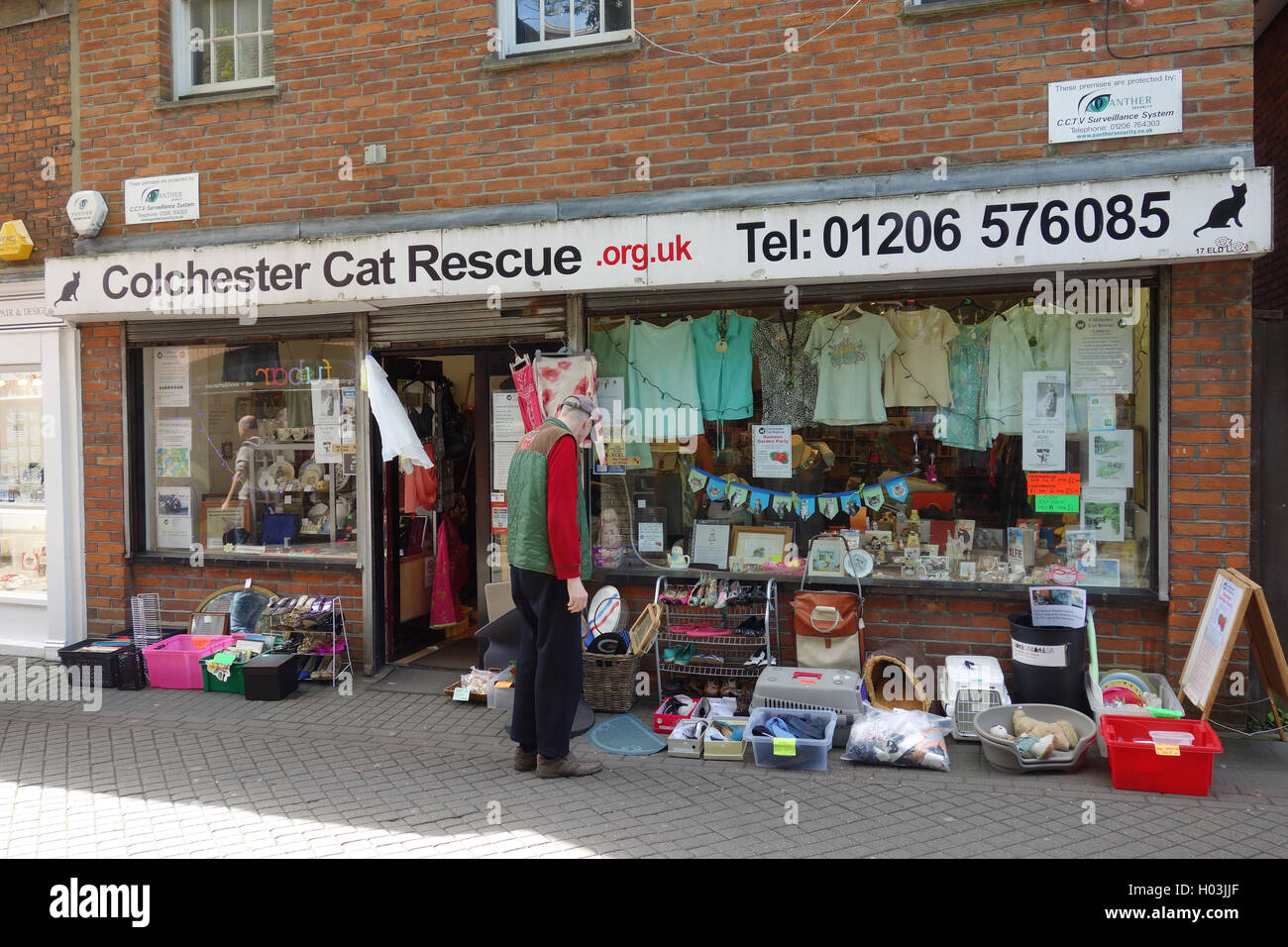 Outside Colchester Cat Charity shop, Essex, England, UK Stock Photo