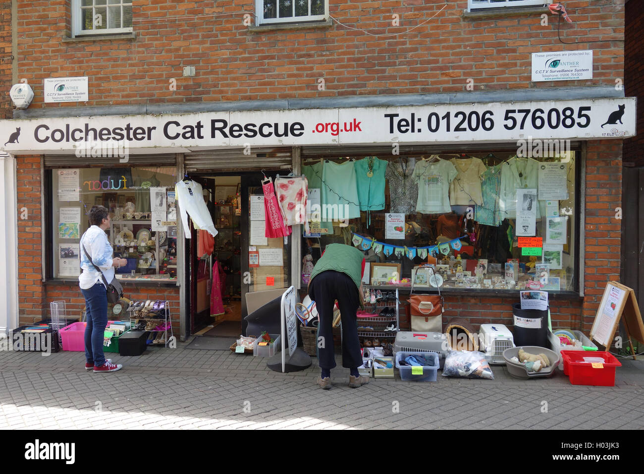 Cat charity shop hi res stock photography and images Alamy