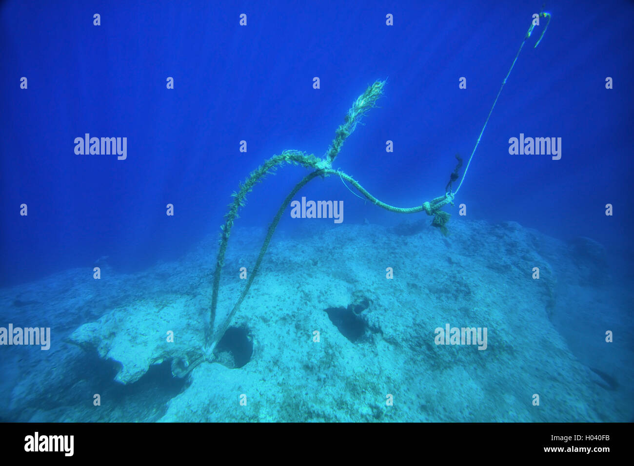 ropes floating underwater Stock Photo