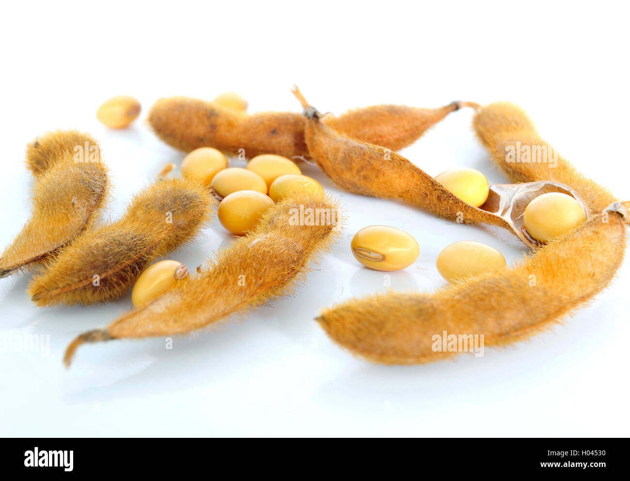 Soy bean seeds on a white background Stock Photo
