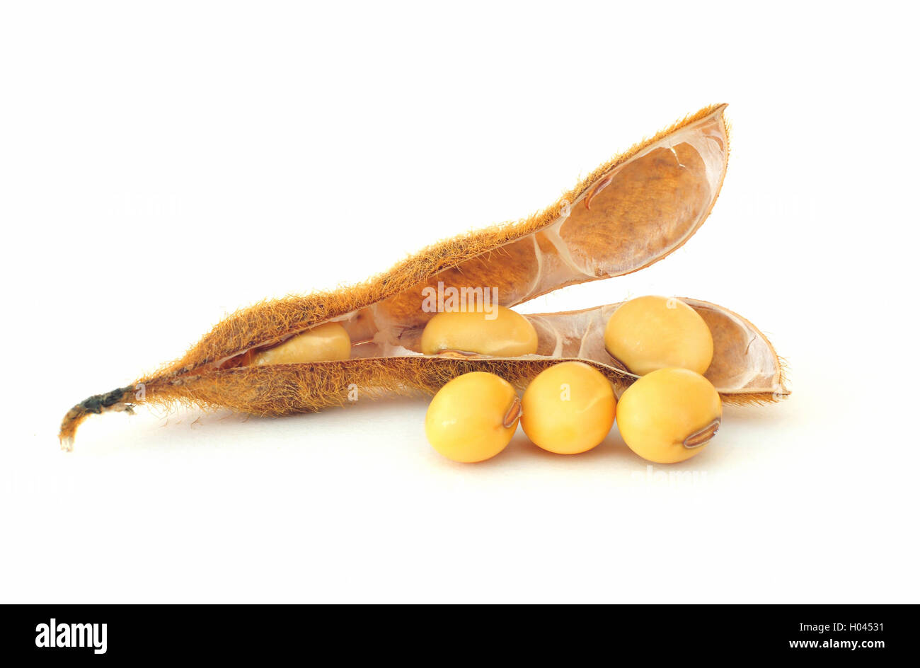 Soy bean seeds on a white background Stock Photo