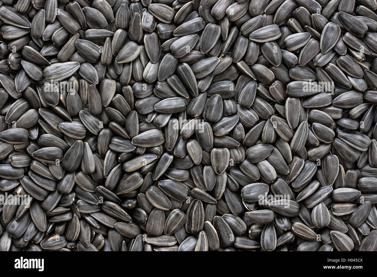 Black sunflower seeds texture or background Stock Photo - Alamy