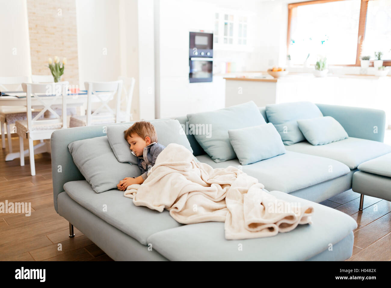 Built-in kitchen appliances  in a contemporary interior Stock Photo