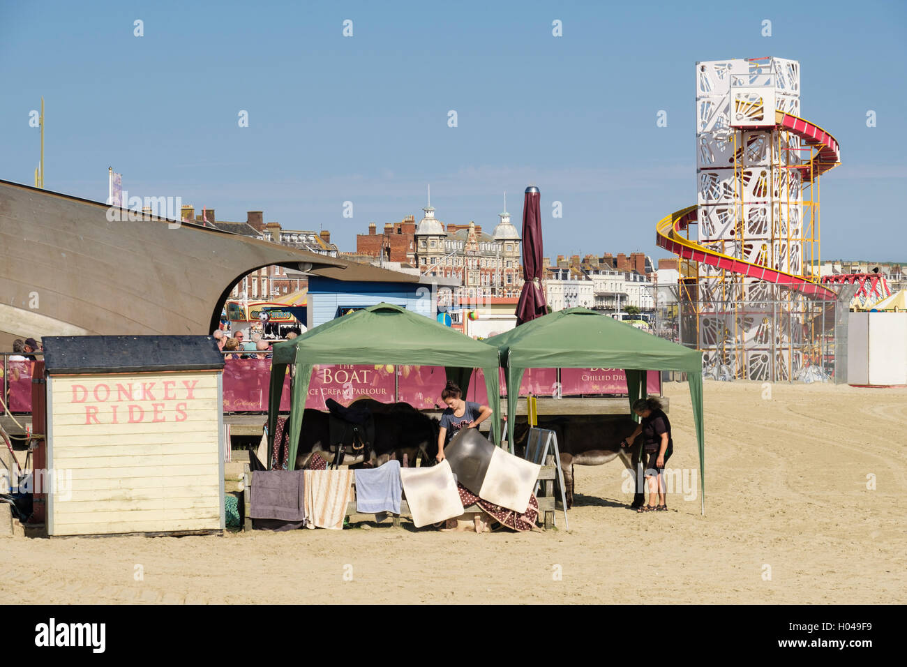 Donkey Rides on the sandy beach with Donkeys shaded from sun in seaside resort. Melcombe Regis, Weymouth, Dorset, England, UK Stock Photo