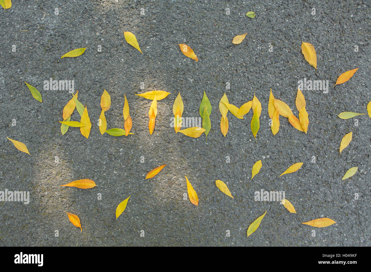 Word AUTUMN made of yellow and green leaves at asphalt background Stock ...