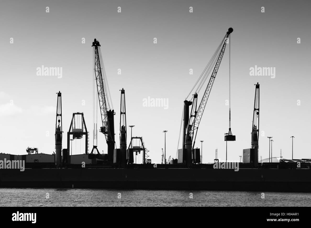 Cranes in black and white Stock Photo - Alamy