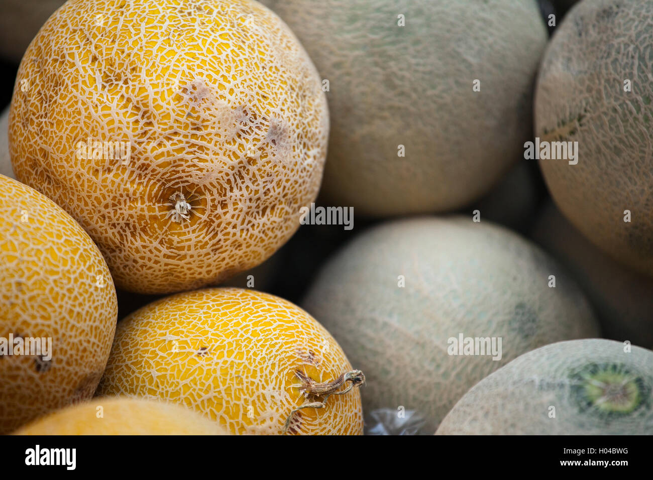 Group of fresh melons on a market Stock Photo Alamy
