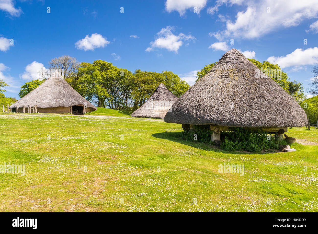Castell Henllys a Iron Age Village, Pembrokeshire Coast National Park