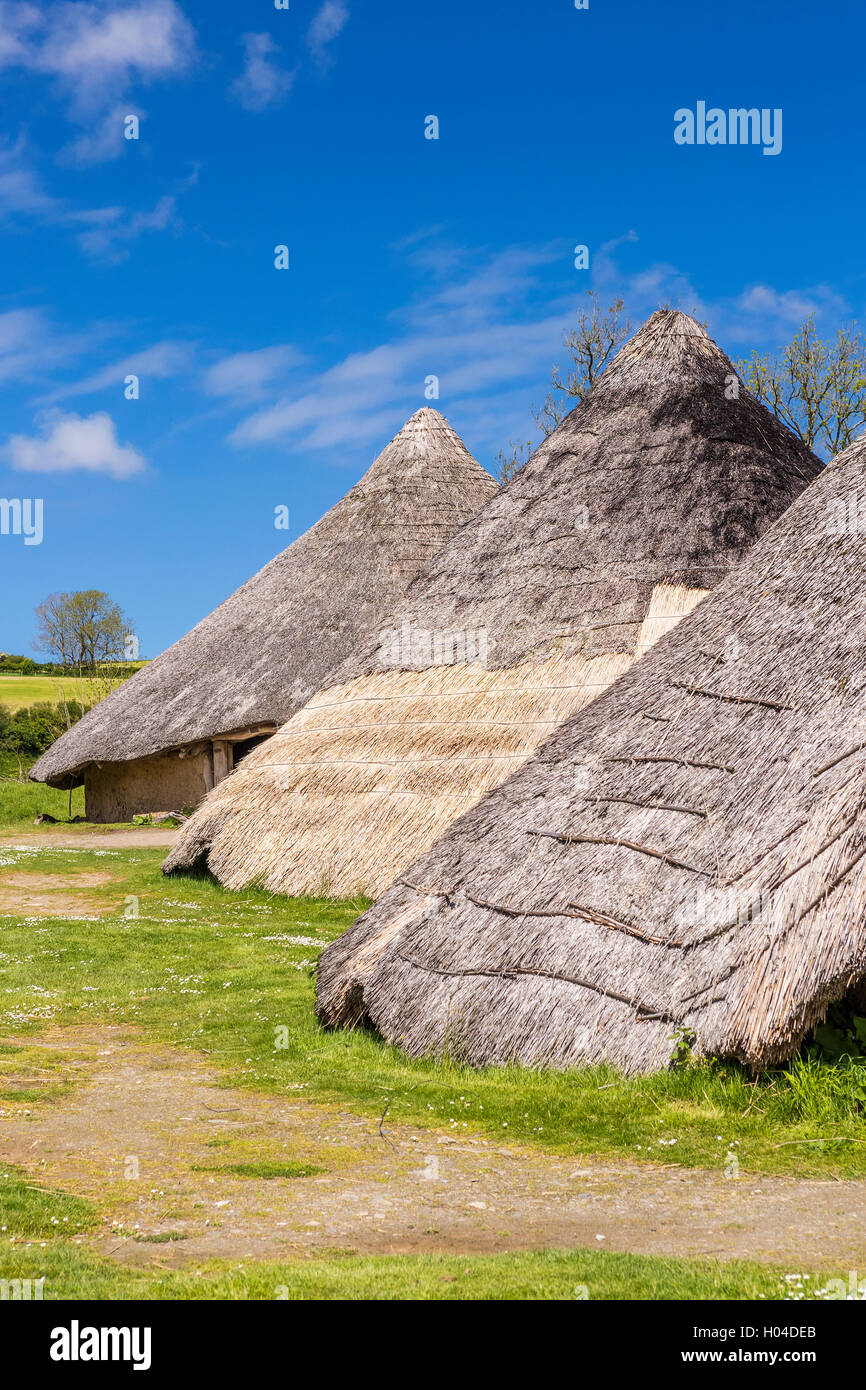 Castell Henllys a Iron Age Village, Pembrokeshire Coast National Park