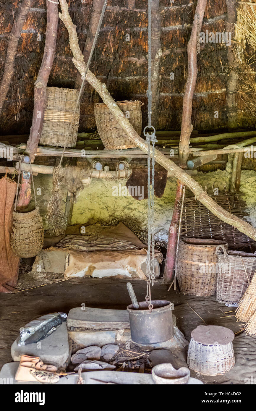 Cook House at Castell Henllys a Iron Age Village, Pembrokeshire Coast National Park, Pembrokeshire, Wales, United Kingdom, Europ Stock Photo