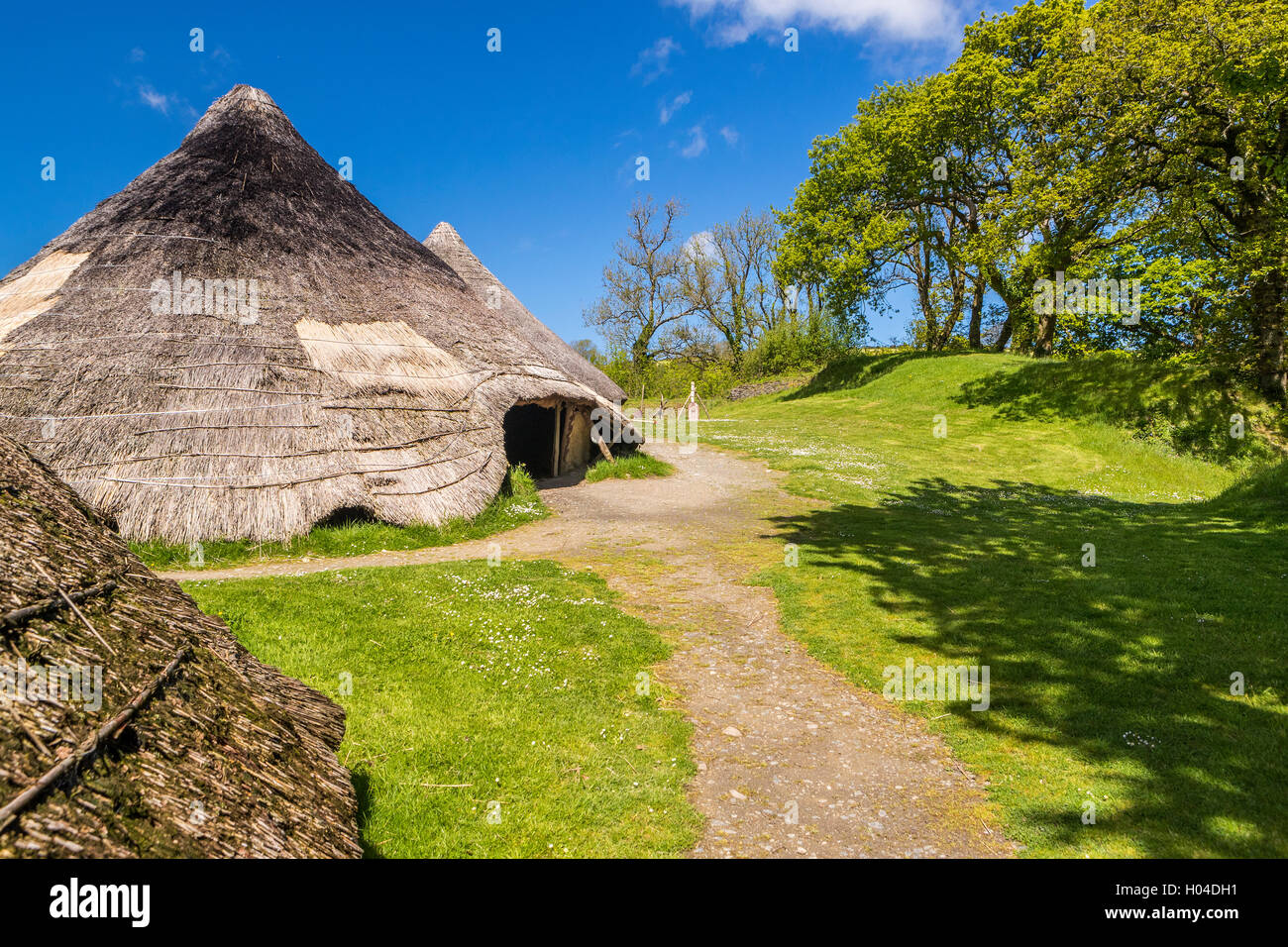 Meeting House at Castell Henllys a Iron Age Village, Pembrokeshire Coast National Park Meeting House at Castell Henllys a Iron Age Village, Pembrokeshire Coast National Park