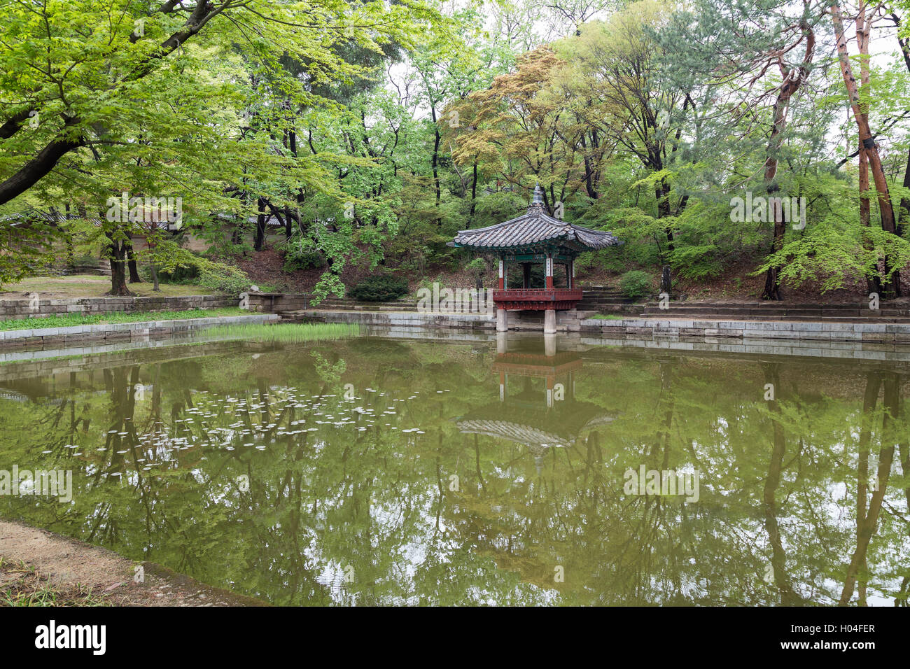 Aeryeonji Pond at Huwon (Secret Garden) at the Changdeokgung Palace in Seoul, South Korea. Stock Photo