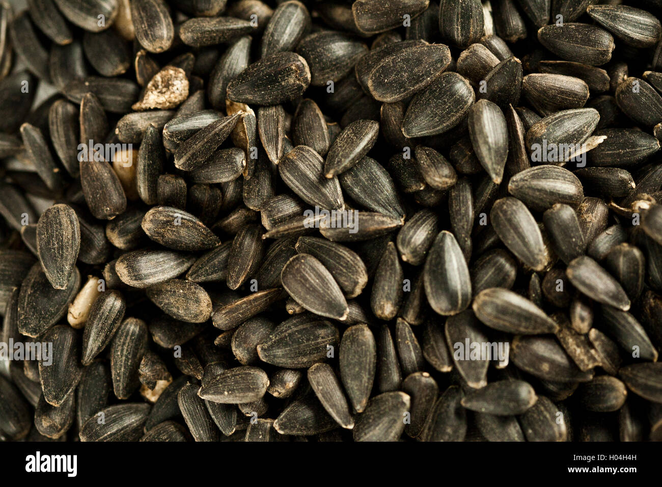Group of sunflowers seeds on a market Stock Photo Alamy