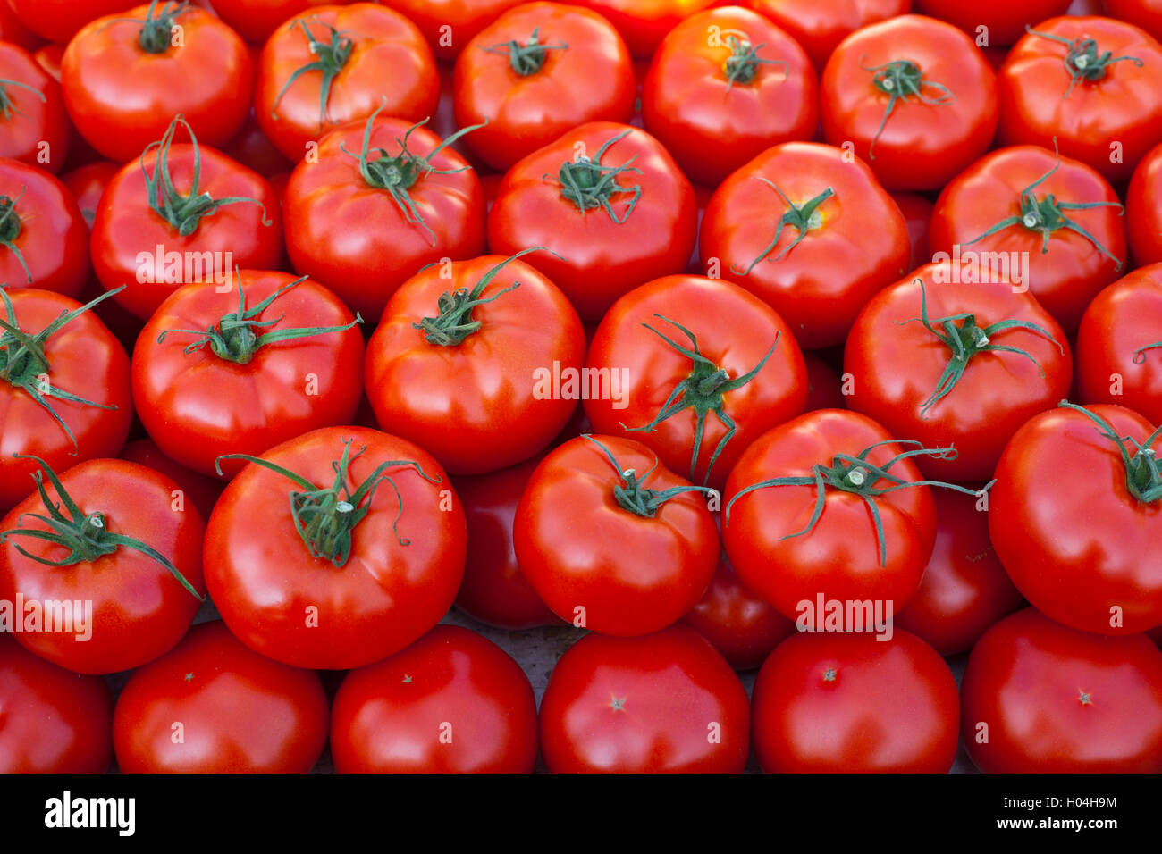 Group of ripe fresh red tomatoes on a market Stock Photo - Alamy