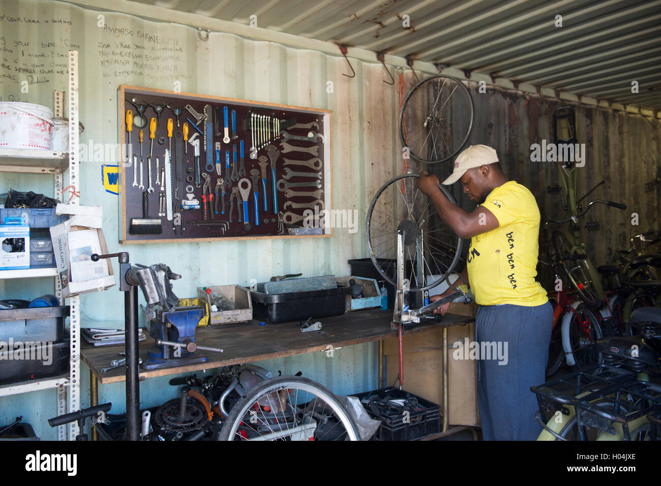 Bicycle technician building a wheel, Cape Town, South Africa Stock