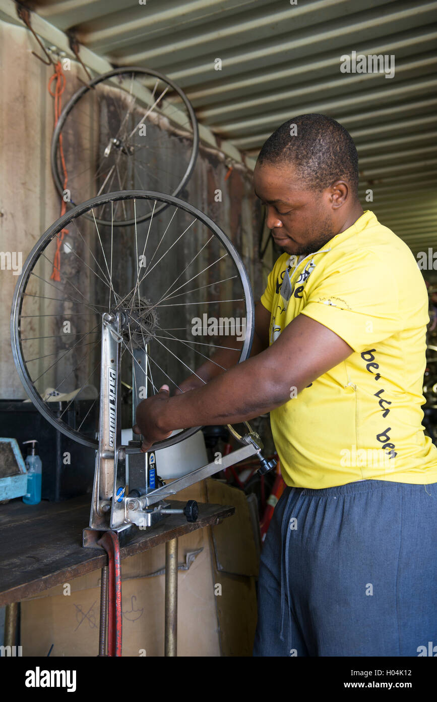 Bicycle technician building a wheel, Cape Town, South Africa Stock