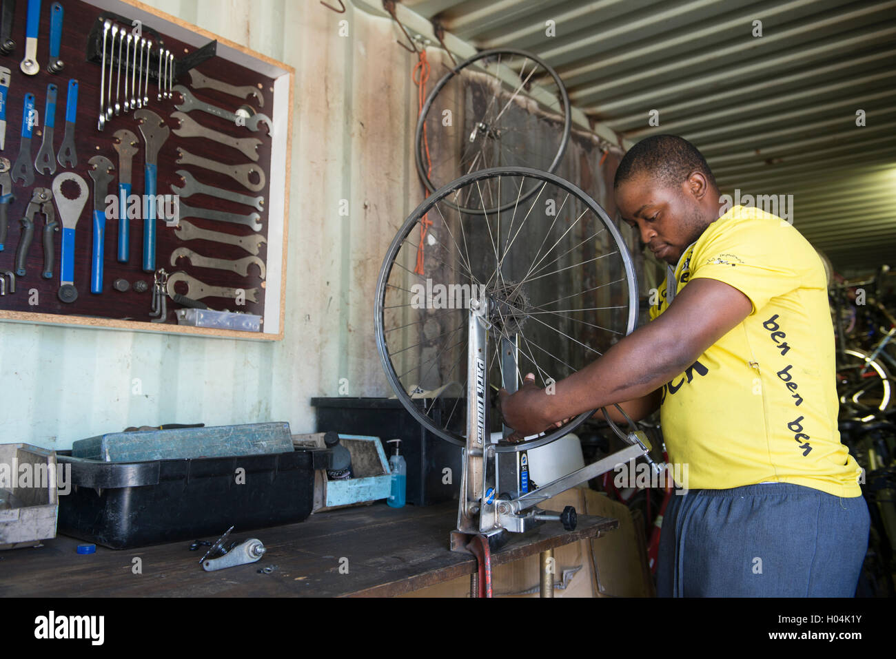 Bicycle technician building a wheel, Cape Town, South Africa Stock