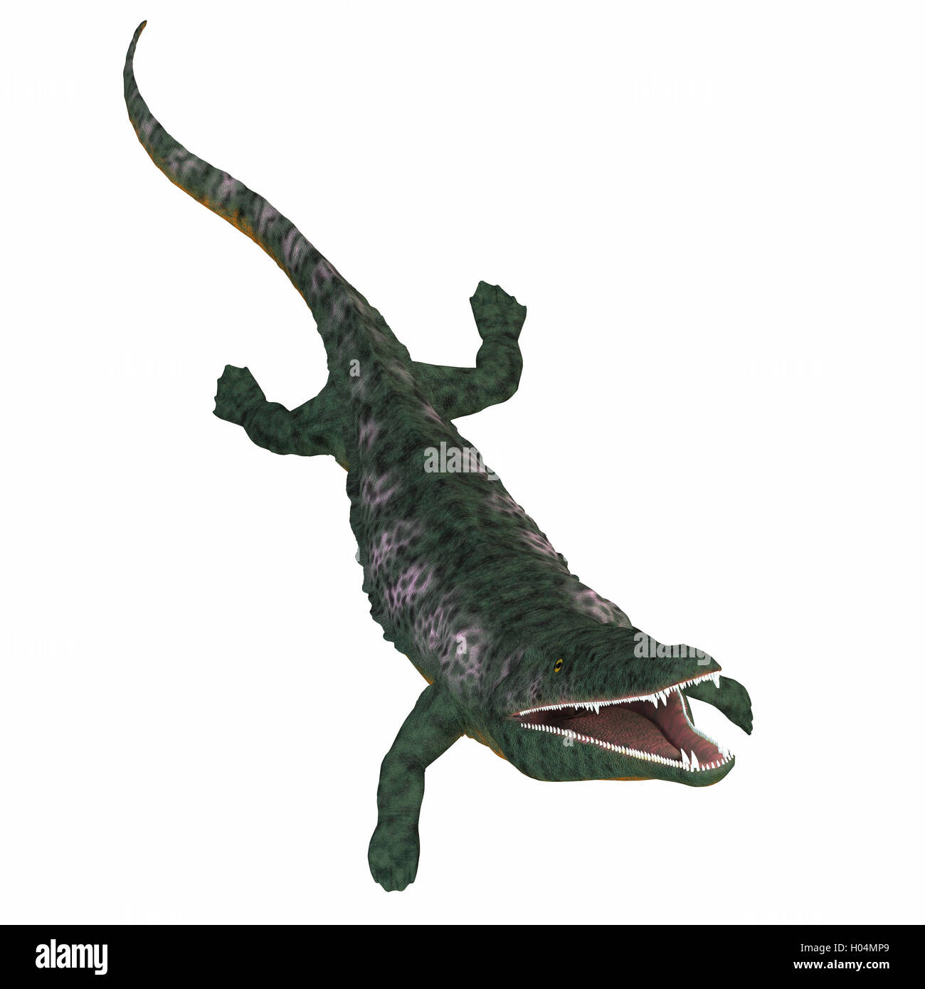 Archegosaurus was an amphibian tetrapod that lived in Europe during the Permian Period. Stock Photo
