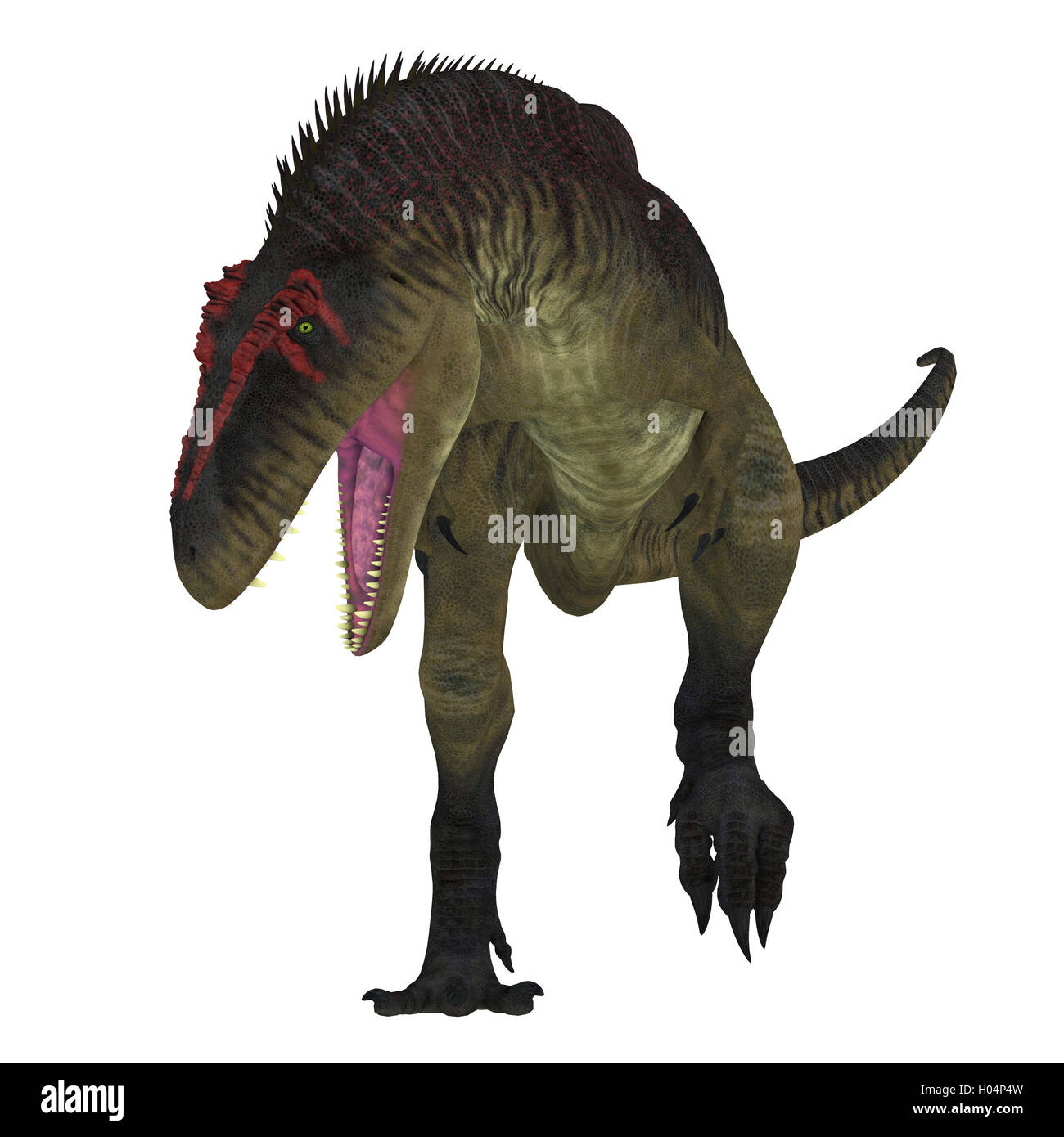 Dino Cut Out Stock Images & Pictures - Alamy