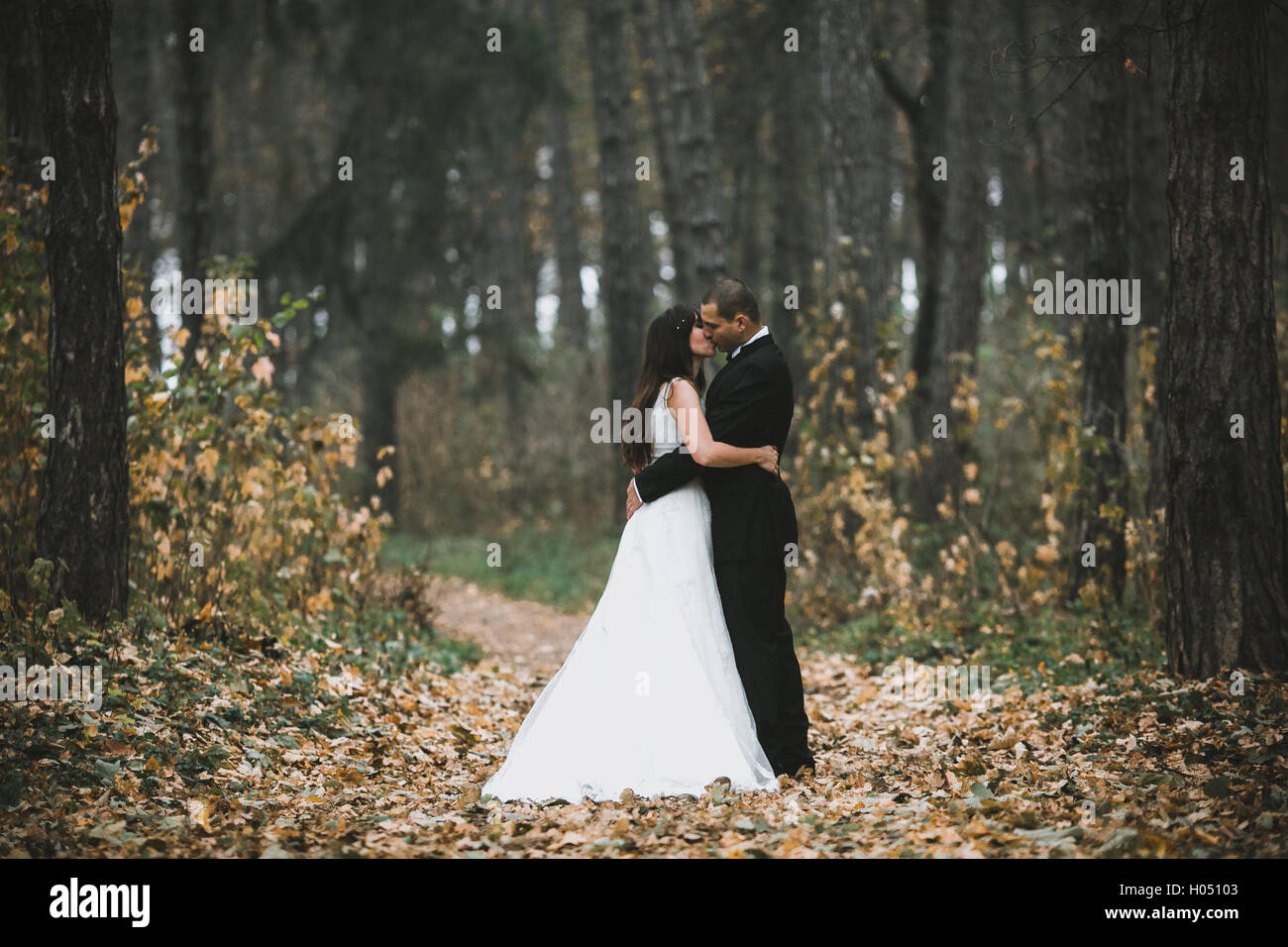 happy bride and groom posing in the autumn forest Stock Photo - Alamy