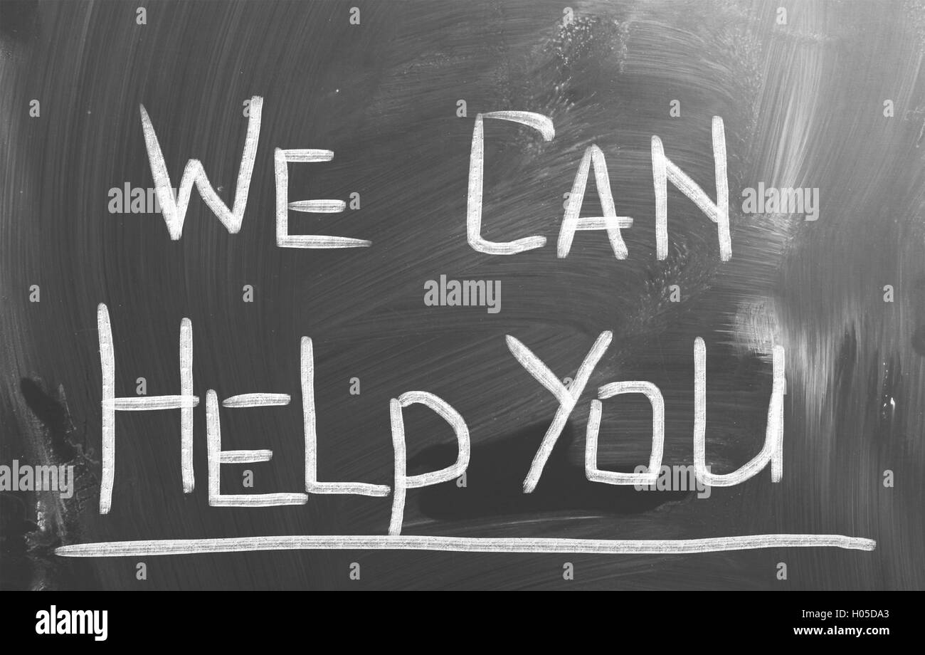 ANT How can I help you today? - Wesley Chapel main image 0