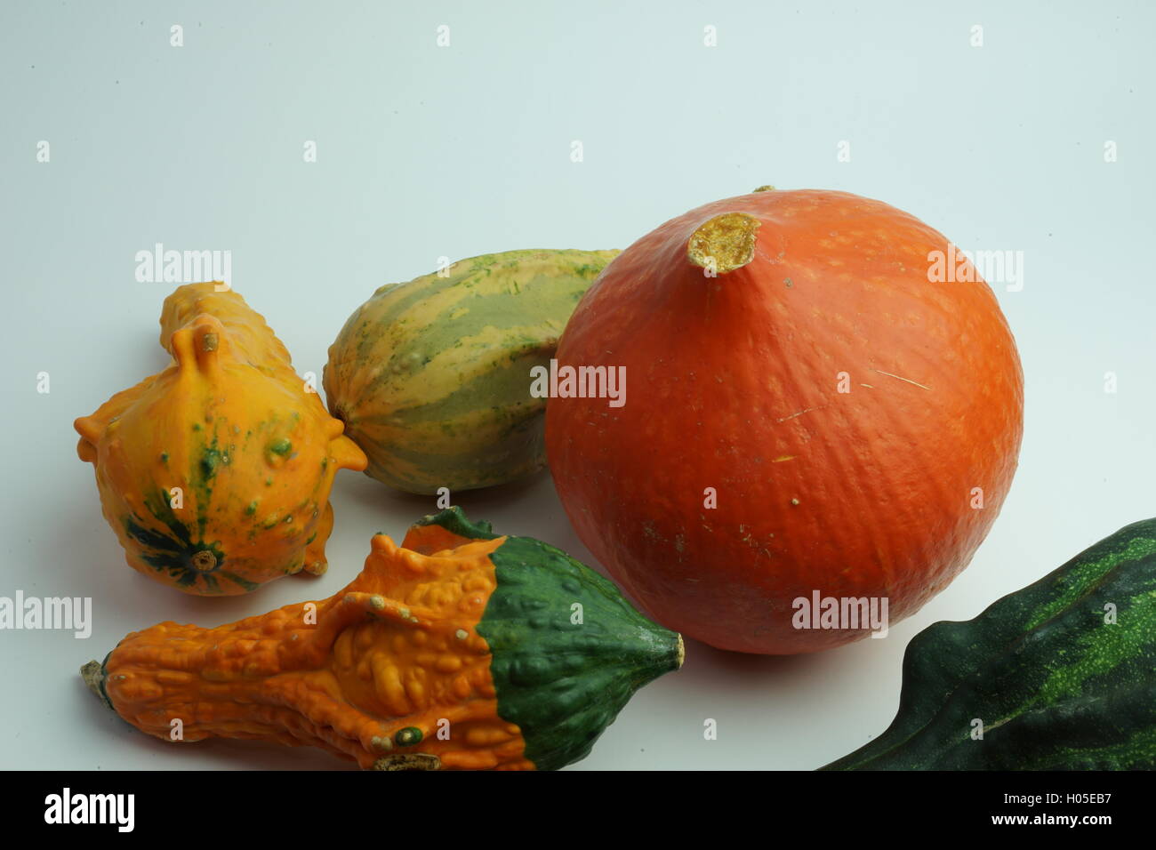 Autumn food background pumpkins hi-res stock photography and images - Alamy
