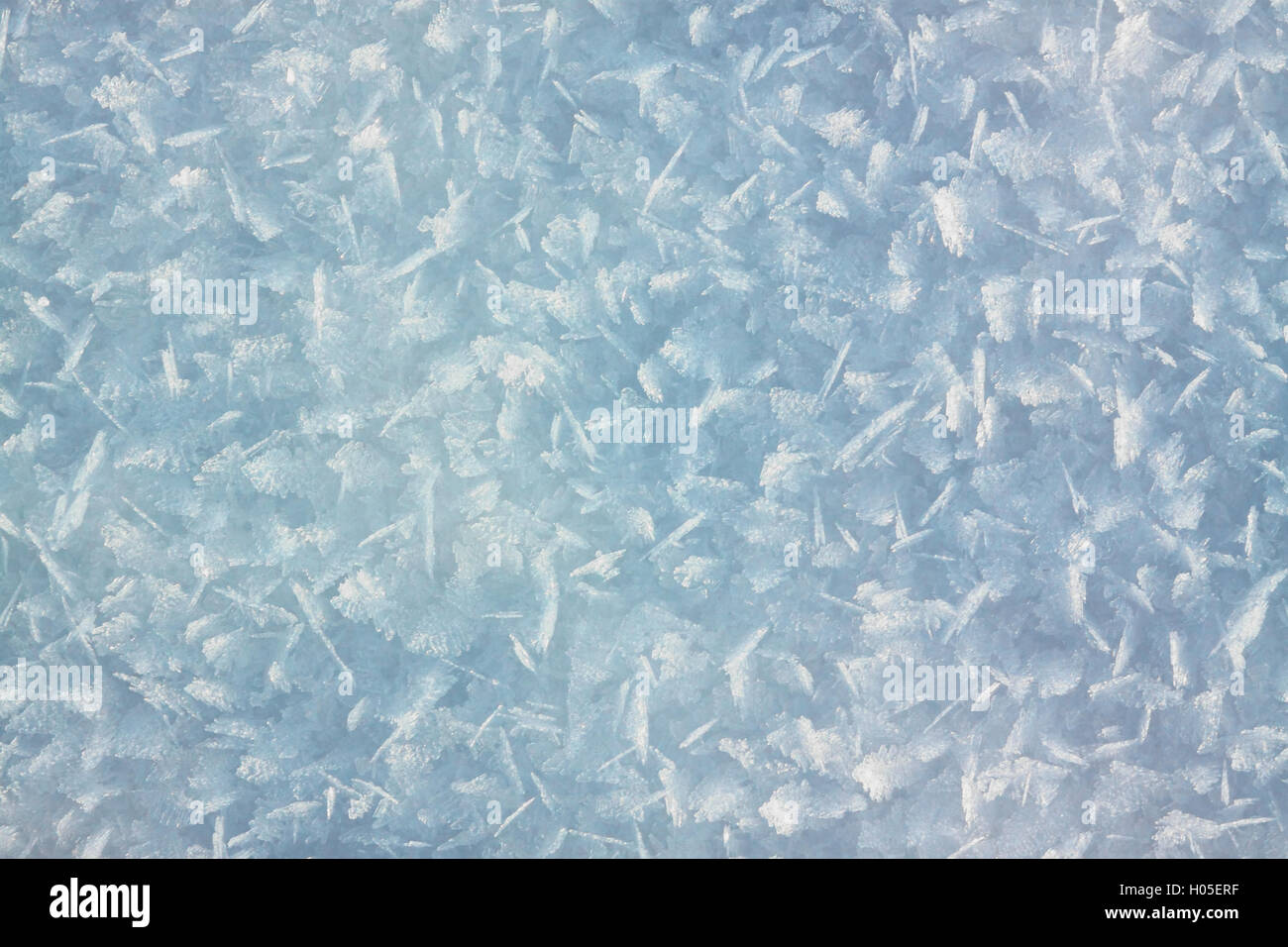 Snow crystals Stock Photo