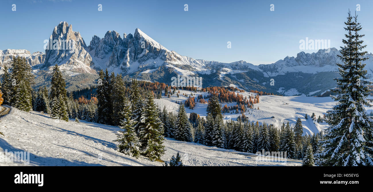 Panorama image of the Seiser Alm or Alpe di Siusi, a high altitude ...
