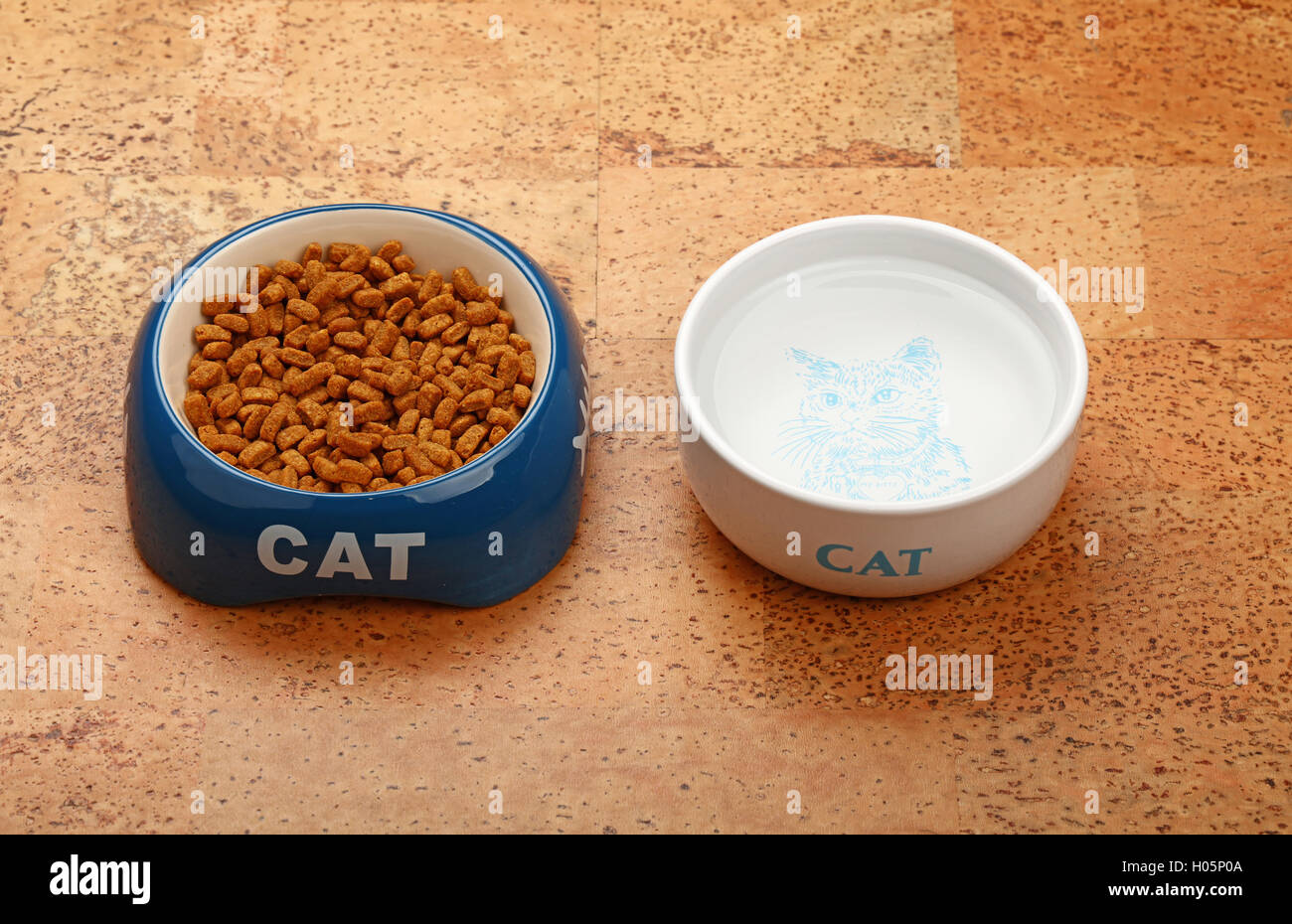 Brown dry cat food portion in blue ceramic bowl with cat word and water