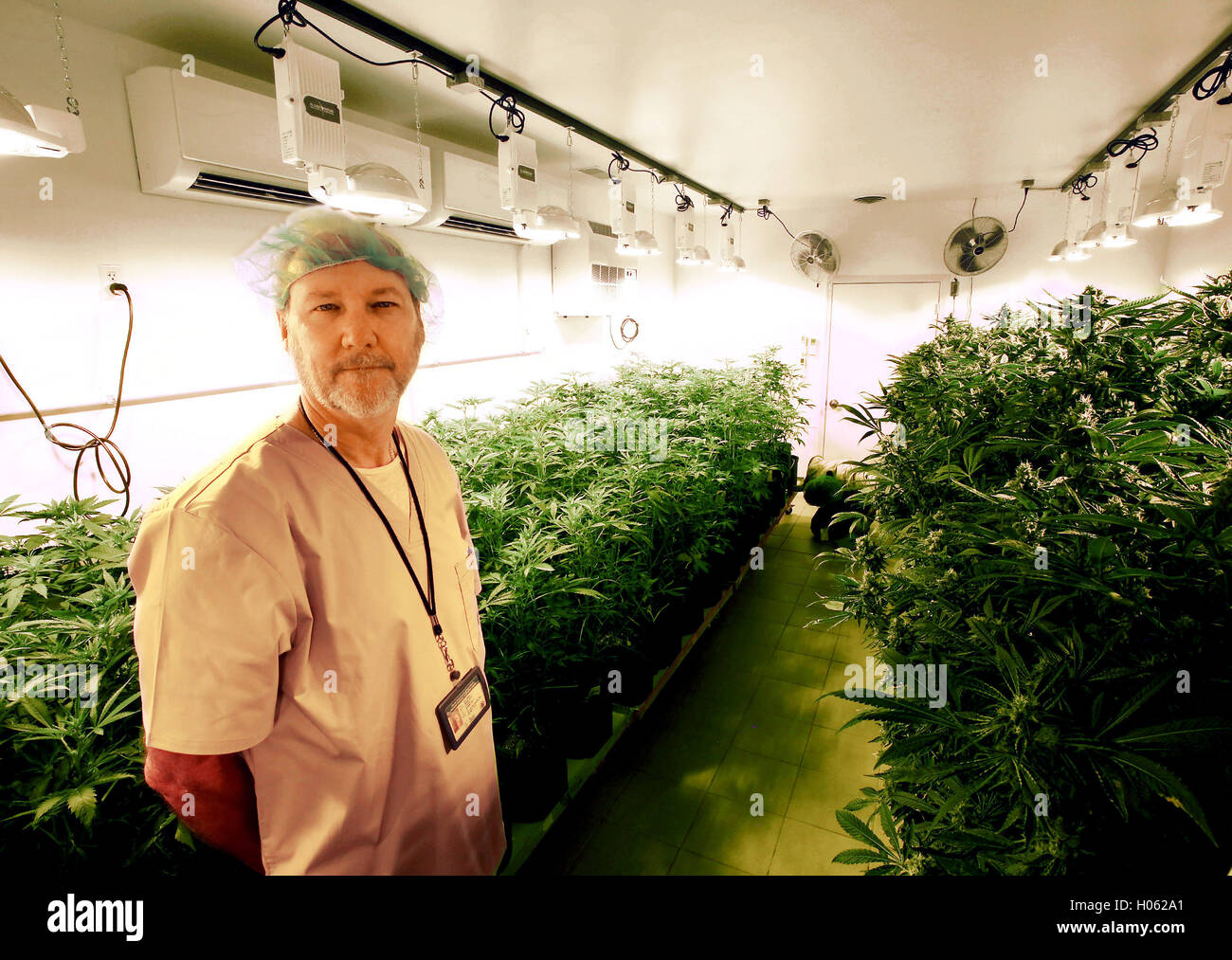 Freeport, Iowa, USA. 13th Sep, 2016. President, CEO Larry Kiest, Jr. talks about stage of development of the plants in one of the flower rooms during a tour of the In Grown Farms LLC medical marijuana grow house near Freeport, Illinois Tuesday, September 13, 2016. © Kevin E. Schmidt/Quad-City Times/ZUMA Wire/Alamy Live News Stock Photo