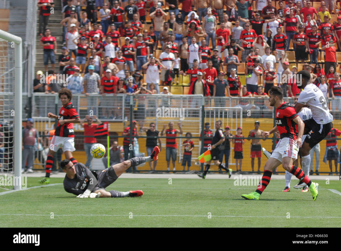 SÃO PAULO, SP - 18.09.2016: FLAMENGO X FIGUEIRENSE - The player Felipe  Vizeu during the game between Flamengo x Figueirense held in estÃ¡dio  Pacaembu in SÃ £ o Paulo (SP). In starting