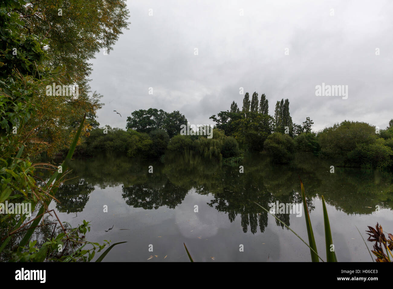 Yateley, UK - 20 September 2016: Thick grey stormy clouds with plenty of drizzle over the county of Berkshire, with temperature's around 15 degrees. Credit:  Robert Norris/ Alamy Live News Stock Photo