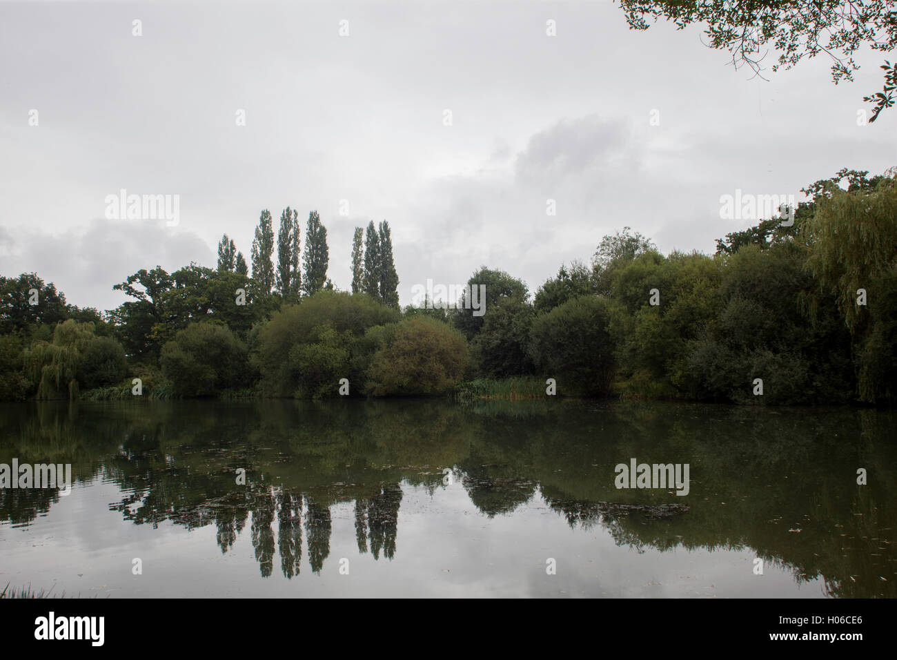 Yateley, UK - 20 September 2016: Thick grey stormy clouds with plenty of drizzle over the county of Berkshire, with temperature's around 15 degrees. Credit:  Robert Norris/ Alamy Live News Stock Photo