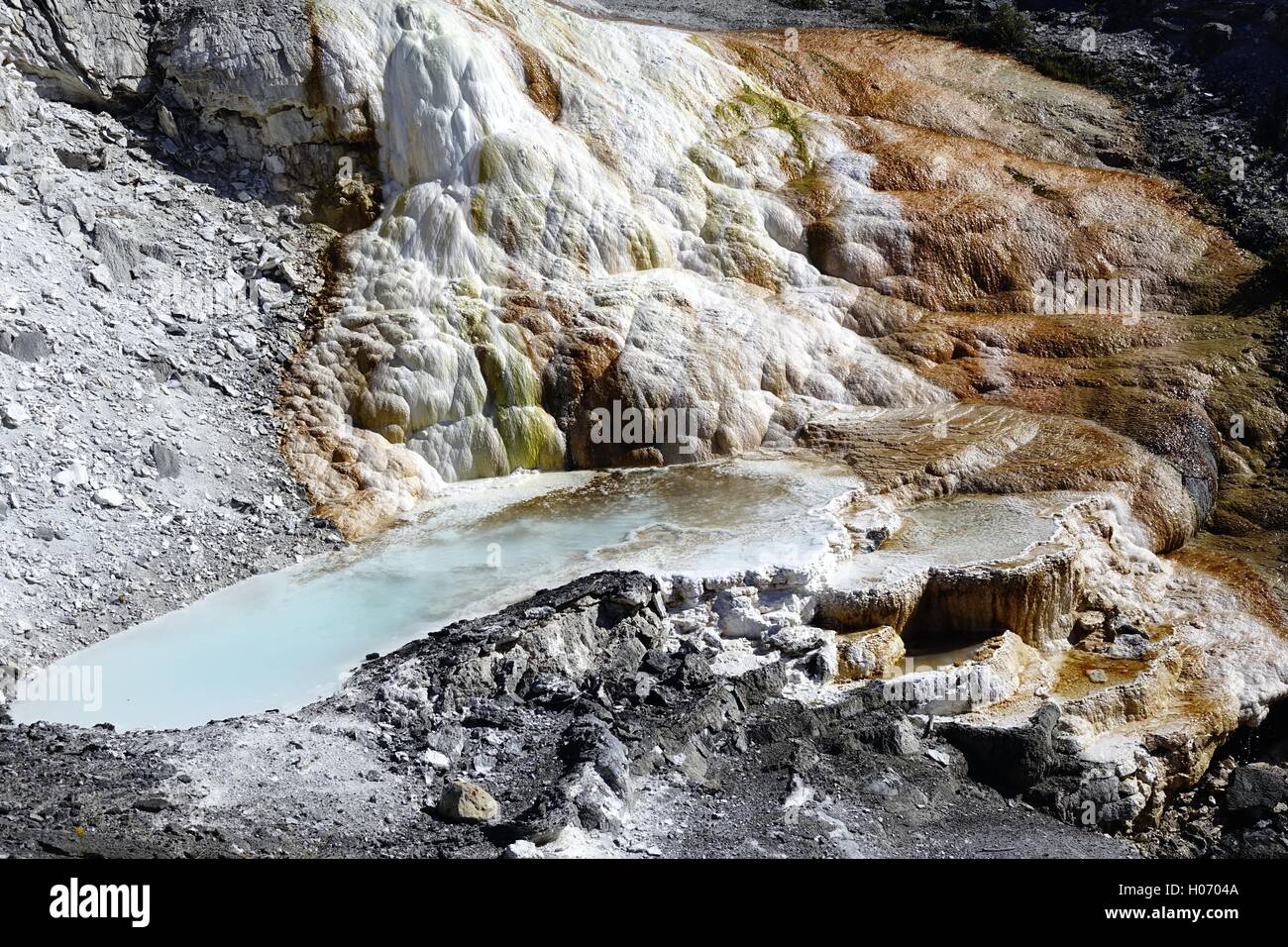 Hot water seeps from Cupid spring, a hot spring at Mammoth hot springs, Yellowstone National Park. Stock Photo
