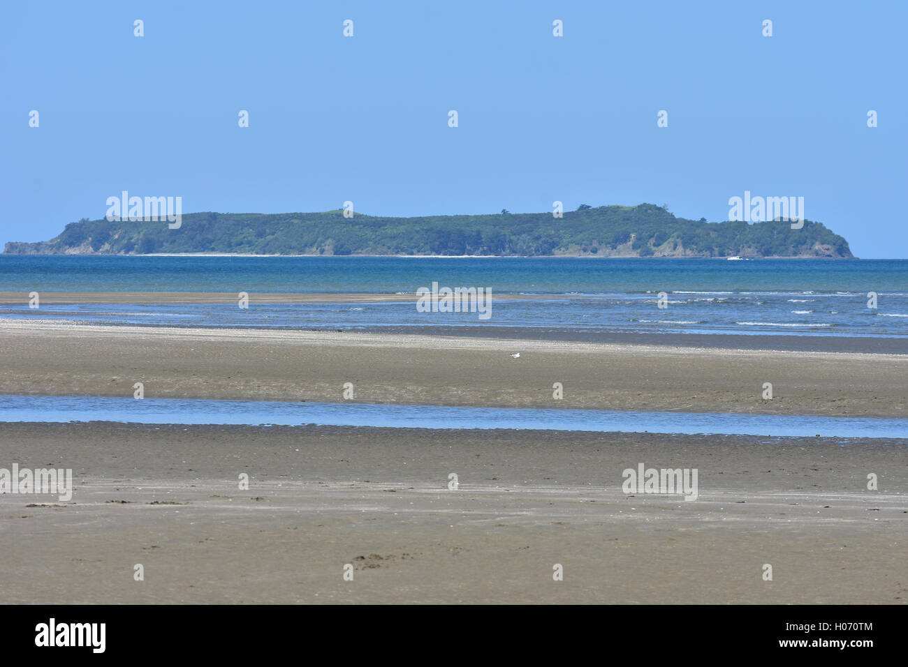 Flat island with some forest coverage from sandy beach at low tide