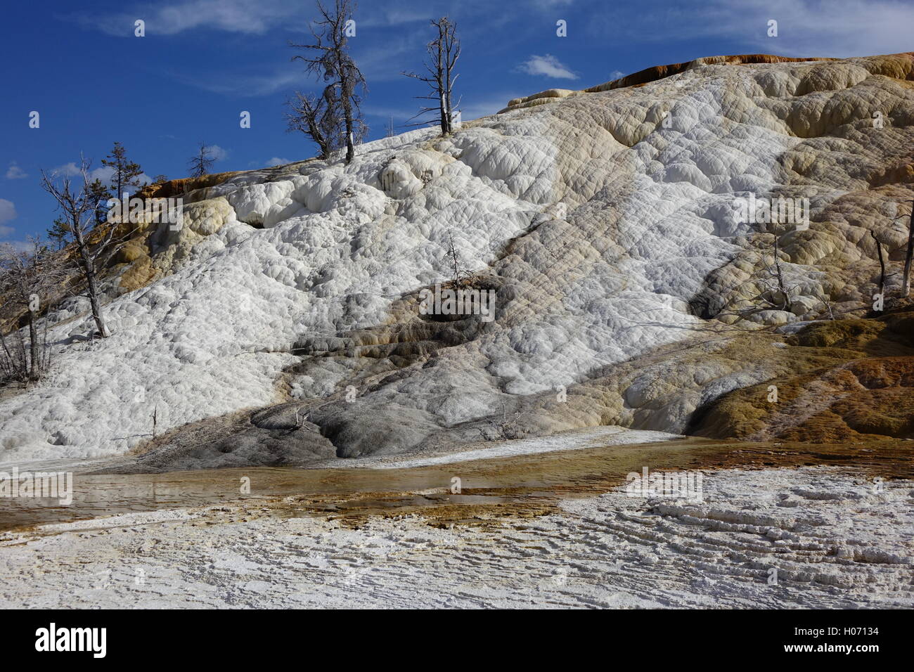 Travertine formation, lower terraces, Mammoth Hot Springs, Yellowstone National Park Stock Photo