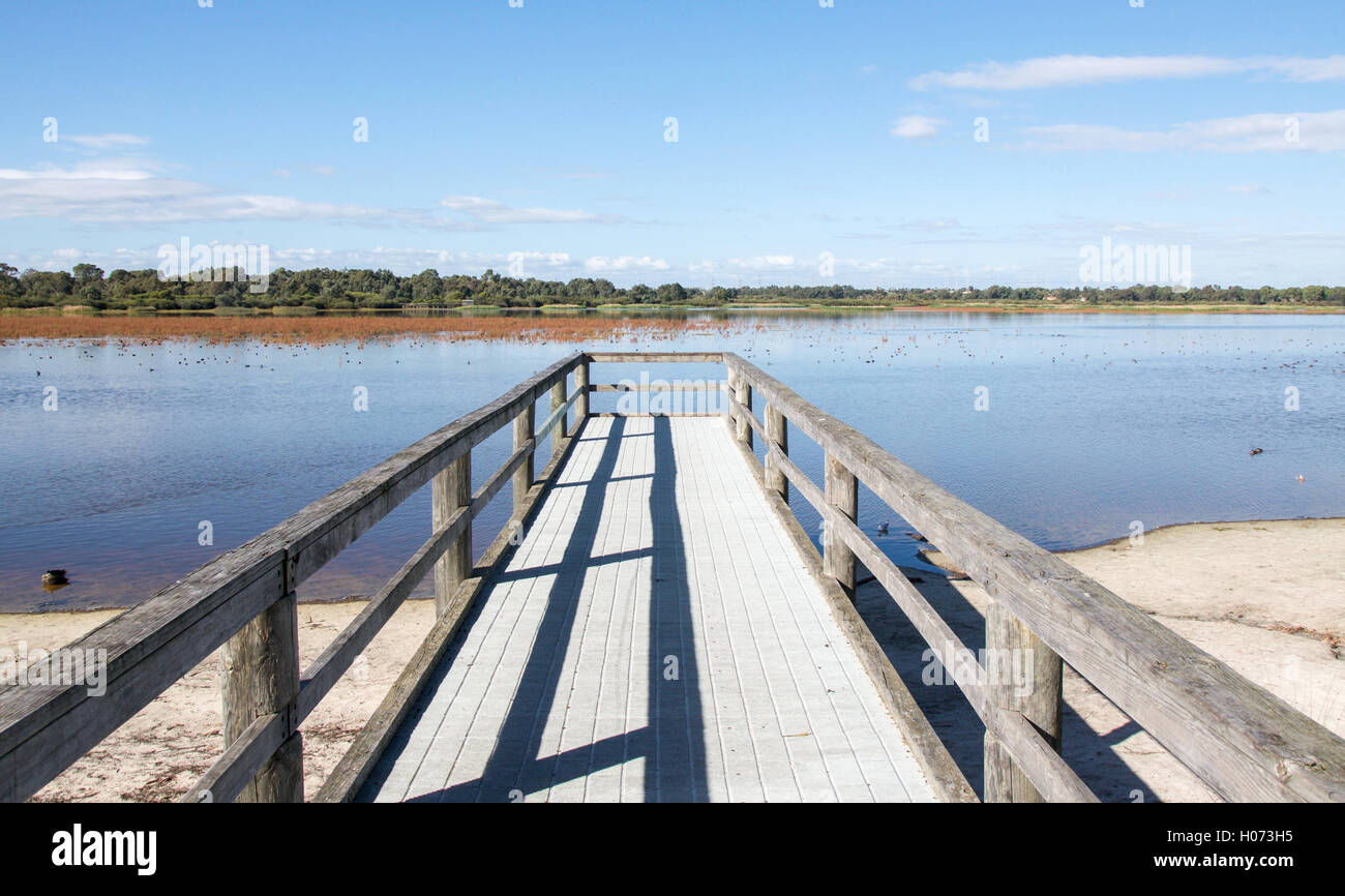 Jetty in diminishing perspective with the wetland landscape at Bibra Lake with sandy lakeshore and plants in Western Australia Stock Photo