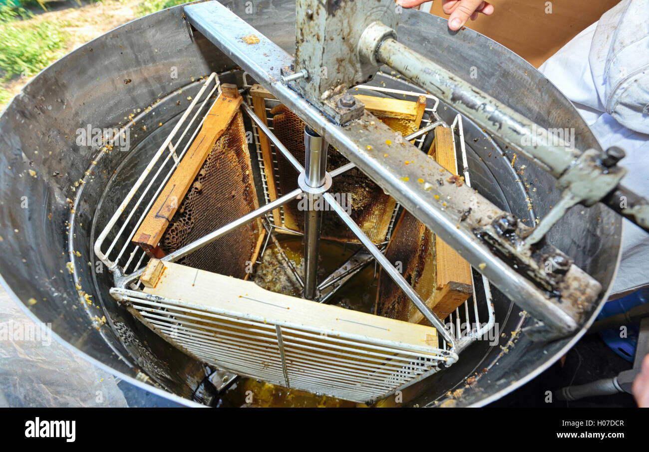 honey extraction machinery Stock Photo Alamy