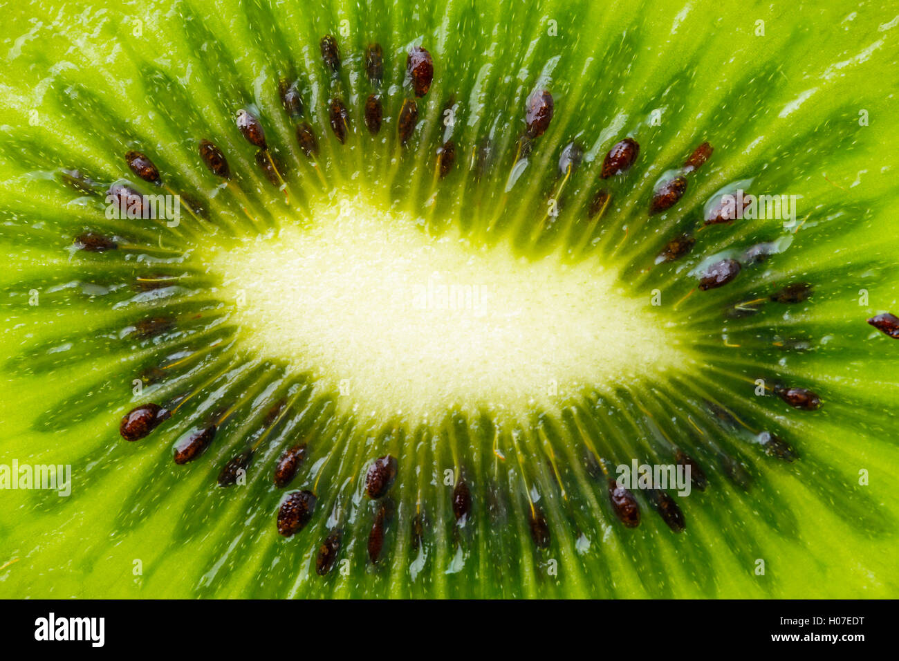 Close up kiwi half hi-res stock photography and images - Alamy