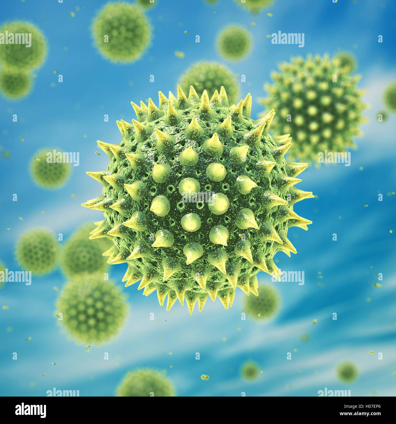 Airborne pollen grains , Hay fever , Pollen allergy Stock Photo