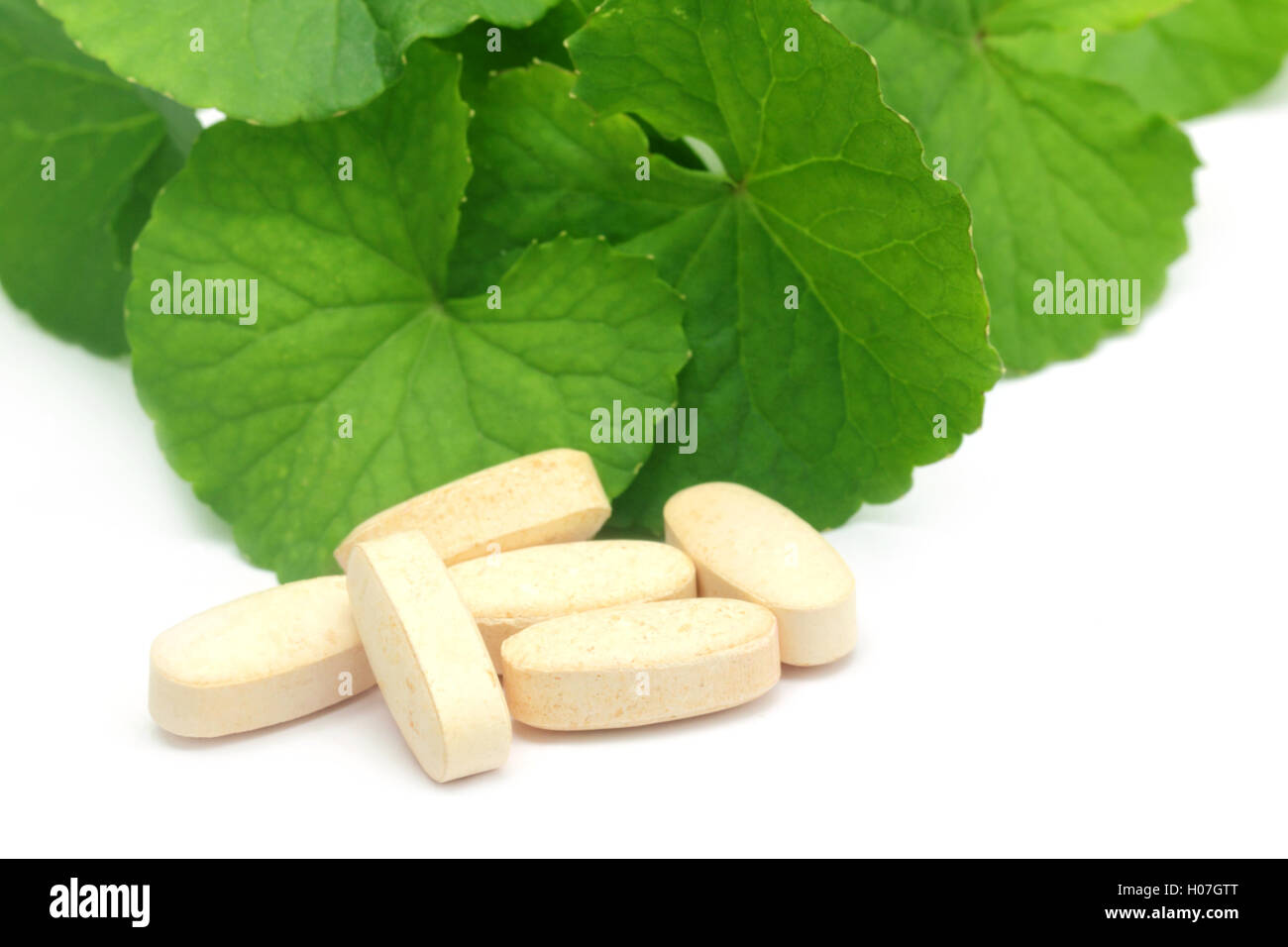 Medicinal thankuni leaves with pills Stock Photo