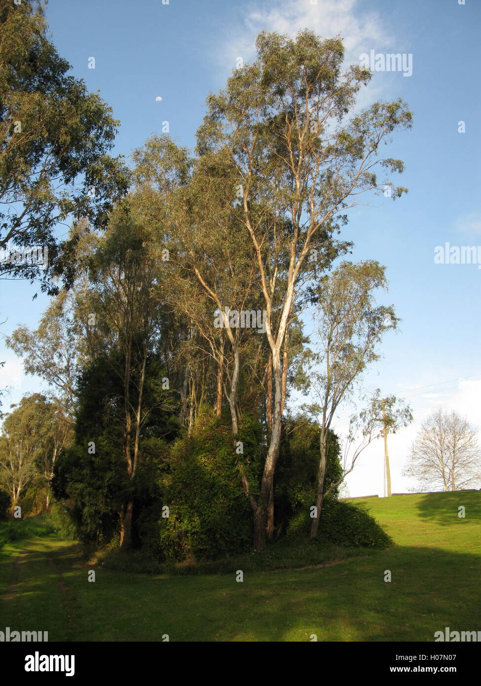 Singleton, New South Wales Stock Photo Alamy